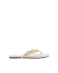 FARASHA - BONE